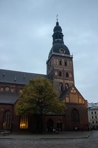 Ağacın önünde Riga Dome Cathedral