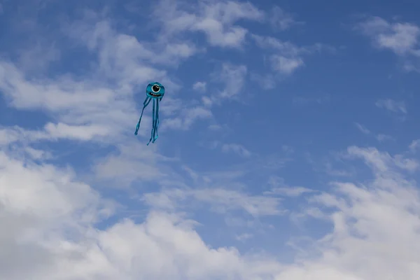 Gökyüzünde 03 uçurtma