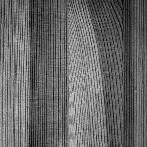 Fyrkantiga svartvit bild behandlat trä sammansatt styrelse — Stockfoto