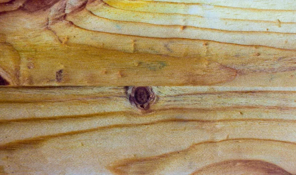 renk desen görüntüsünü bir ağaç işleme