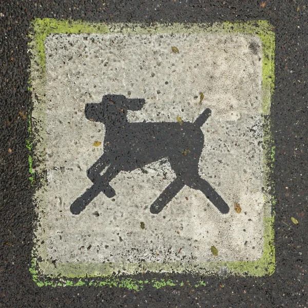 Kare işareti köpek asfalt üzerinde yürümek yasaklanmıştır