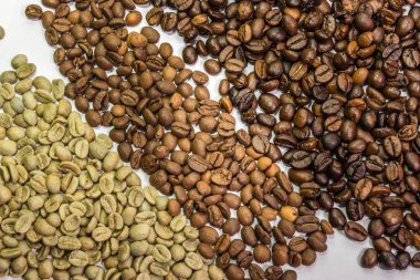 Kahve çekirdekleri beyaz zemin üzerinde üç tür