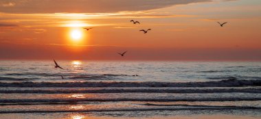 Gölgeli kuşlarla denizin üzerinde güzel bir gün batımı.
