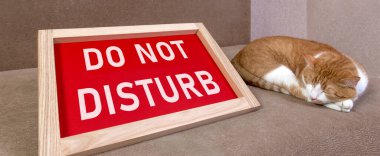 Kızıl kedi tabletin yanındaki kanepede uyuyor. Üzerinde yazı var. Rahatsız etmeyin..