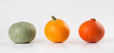 Ahşap bir masanın üstünde art arda taze balkabakları, afiş. Kırsal tarzda. Şükran Günü ve Cadılar Bayramı konsepti.