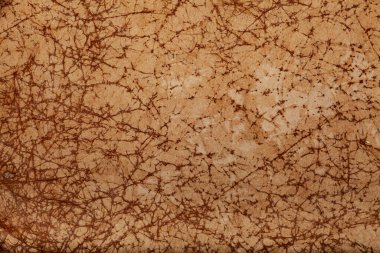 Yatay yakalama. Kağıt yüzeyinde sepia rengi, soyut ve organik şekiller ve kırışıklıklar var. Sanat, grunge, tarih veya grafik tasarım teması