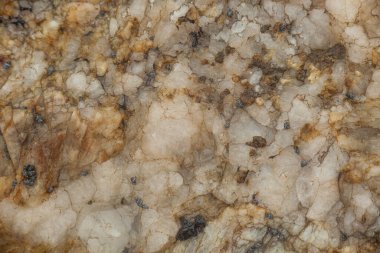 Quartzite ya da granit yüzeyin yatay makro fotoğrafçılığı. Büyük kuvars kristalleri, kahverengi ve gri damarlar. Küçük izopodlarla pürüzlü, organik doku.