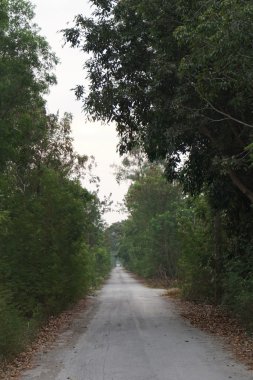 Tünelin sonundaki ışık.