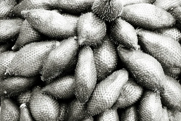 Abstract Salacca zalacca fruit — Stock Photo, Image