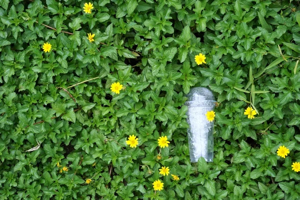 Vidro de plástico na grama — Fotografia de Stock
