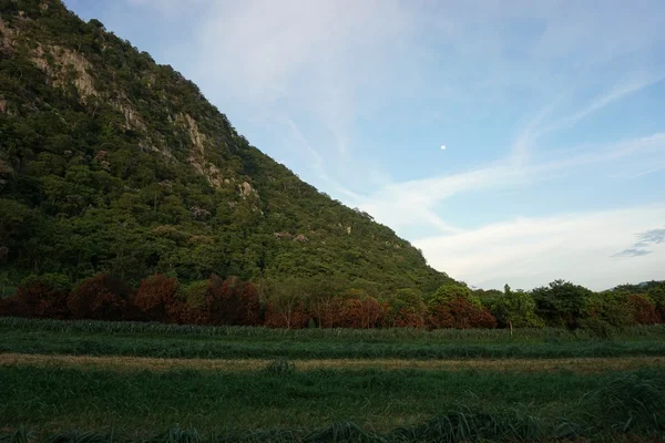 Vista della montagna — Foto Stock