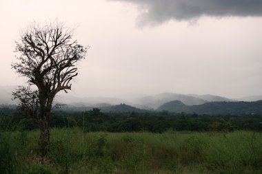 yağmur damlası 1 dağda