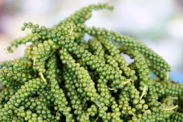 Grupo de granos de pimienta verde fresca —  Fotos de Stock