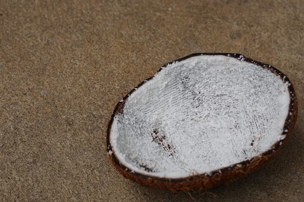 Połowa z orzecha kokosowego 1 — Zdjęcie stockowe