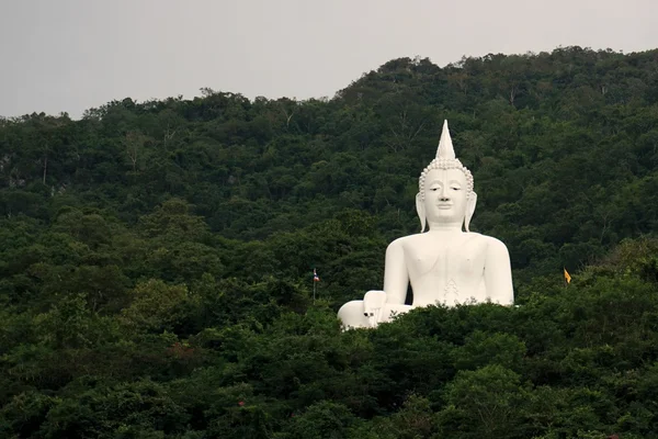 Imagem branca gigante de Buda com montanha verde 7 — Fotografia de Stock
