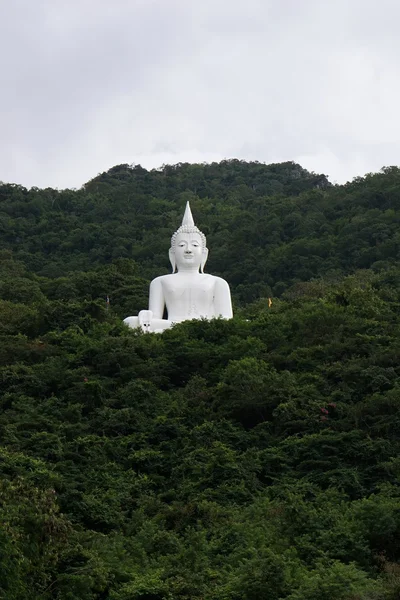 Reus-wit beeld van Boeddha met groene berg 4 — Stockfoto