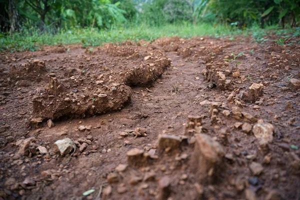 Suelo de plantación — Foto de Stock