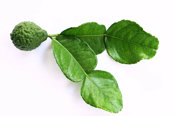 izole bergamot meyve ve bırak 2