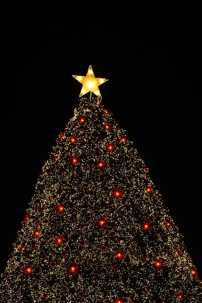 1 yıldız ile Noel ağacı — Stok fotoğraf