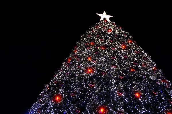 Weihnachtsbaum mit Stern 4 — Stockfoto