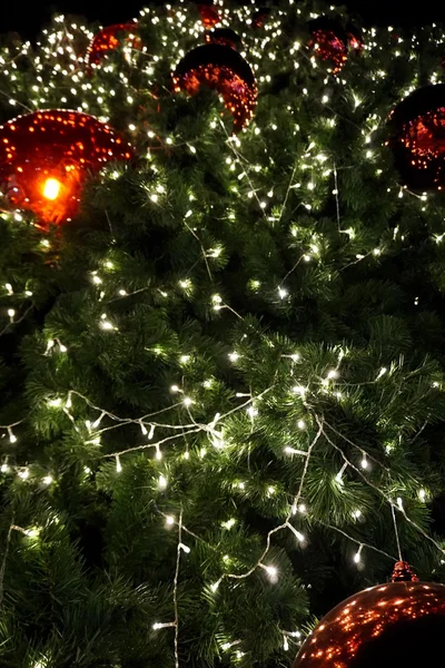 Nahaufnahme Weihnachtsbaum 1 — Stockfoto