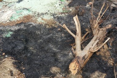 yaktıktan sonra çöp