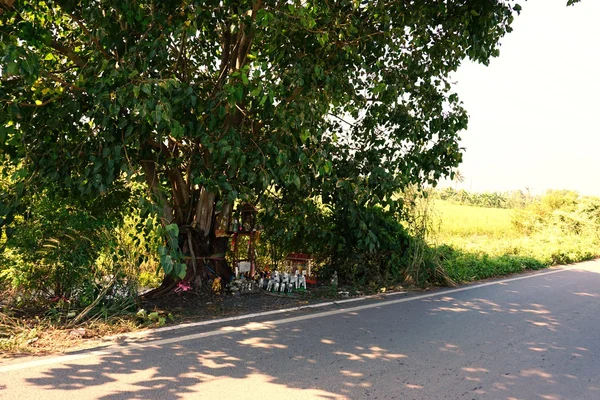Thailänder glauben, dass das Ritual im Peepulbaum lebt — Stockfoto
