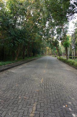 orman yolu sabah yürüyüş