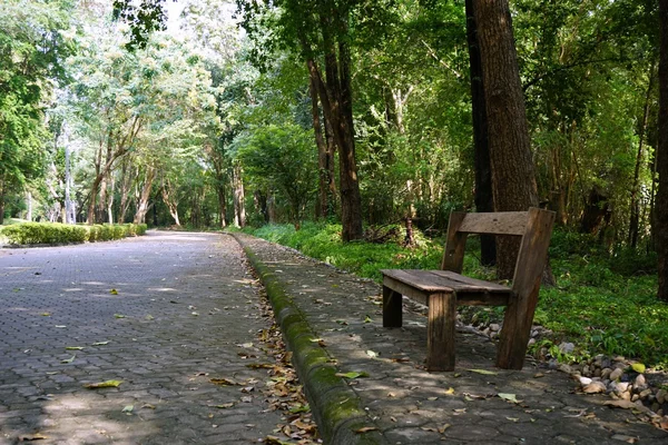 Old teak wood bench on the walking way — Stock Photo, Image