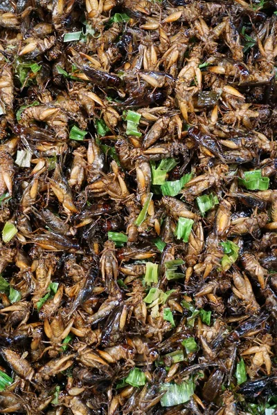 Cricket fried with pandanus leaves — Stock Photo, Image