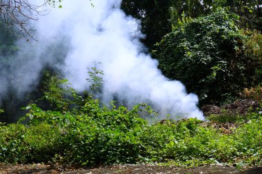 Ormanda Sigara İçmek