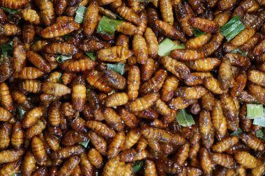 İpek solucan Pandanus yaprakları ile kızarmış