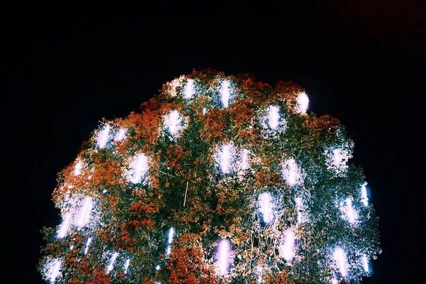 Abstrakt des bunten Lichterbaums — Stockfoto