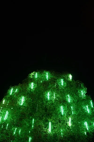 Resumen del árbol de luz verde — Foto de Stock