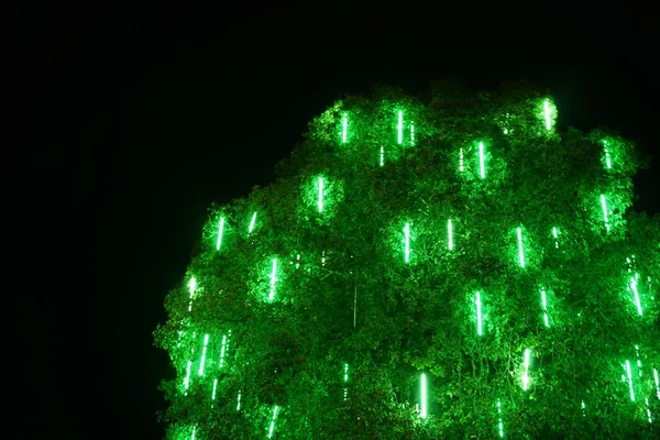 Astratto di albero di luce verde — Foto Stock