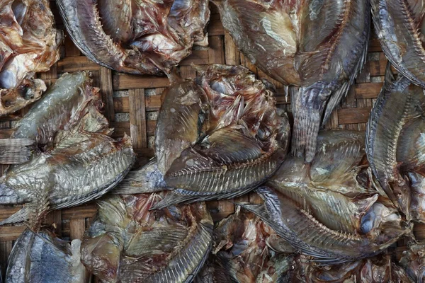 Conservar el pescado seco —  Fotos de Stock