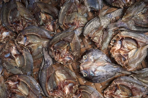 Conservar el pescado seco —  Fotos de Stock