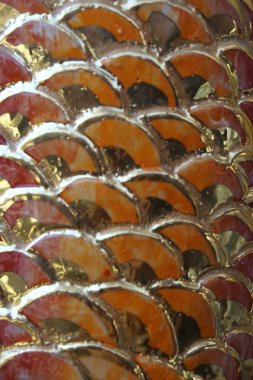 bulanık altın balık ölçek sıva