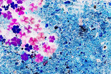 Soyut yonca bitki katta