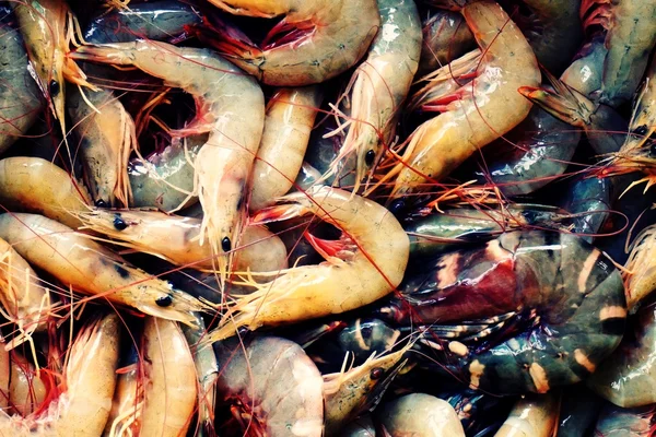 White shrimp and black tiger prawn — Stock Photo, Image
