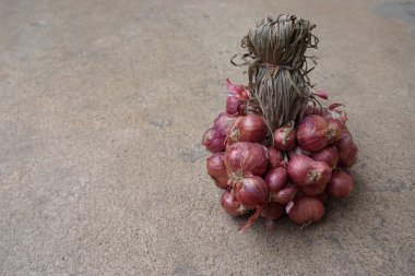 Tay kırmızı soğan