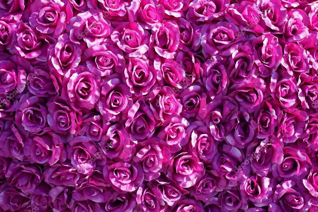 最良の選択 壁紙薔薇紫