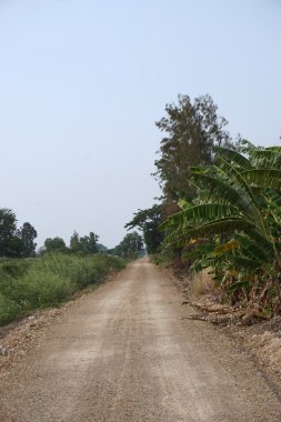 kırsal yol