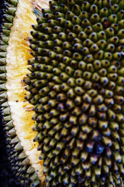 Jackfruit — Stok Foto