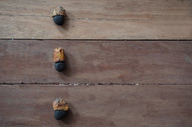 Afzelia xylocarpa seed