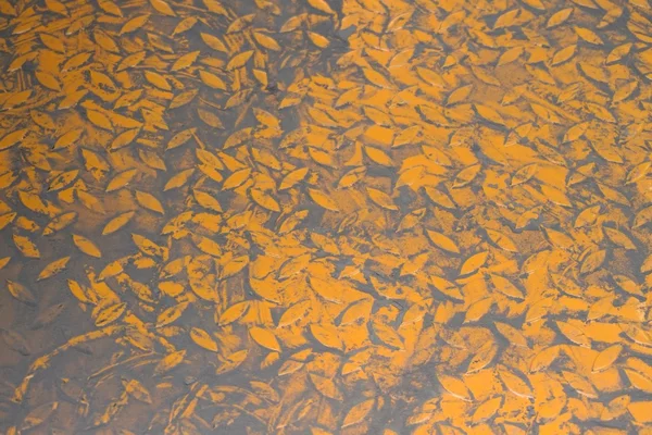Piso de metal amarillo sucio — Foto de Stock