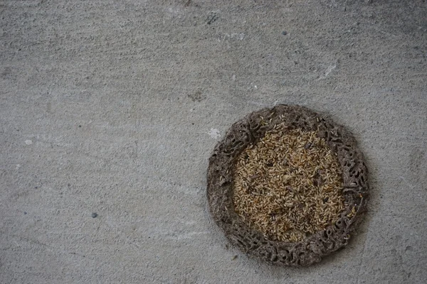 Cercle de termite colline — Photo