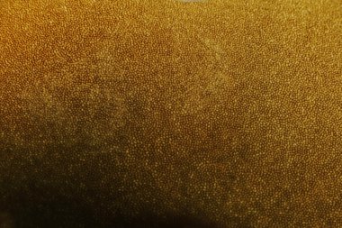 soyut spor vahşi bolete mantar