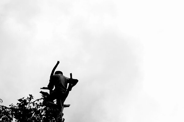 риск лесоруба
