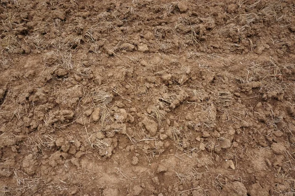 Przygotowanie gleby z bliska — Zdjęcie stockowe
